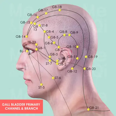 Gall Bladder Primary Channel  pathway