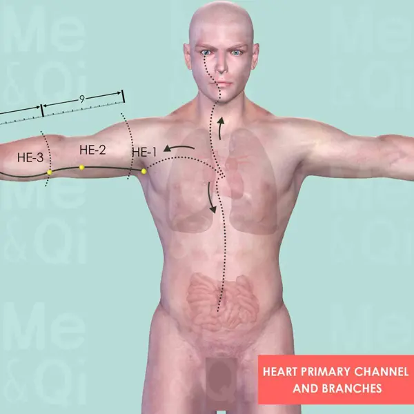 Heart Meridian pathway diagram