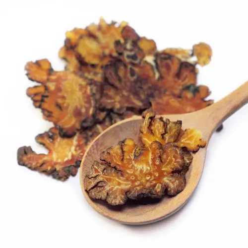 Chuan Xiong (Sichuan lovage rhizome) as TCM ingredient