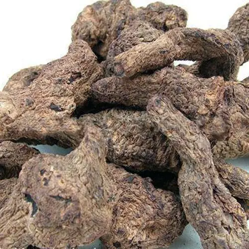 Di Huang (Rehmannia root) as TCM ingredient