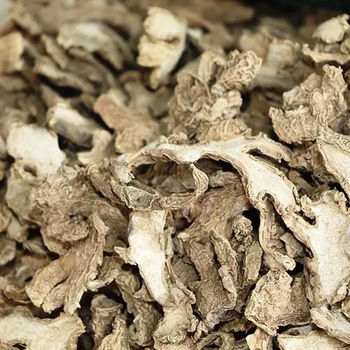 Gan Jiang (Dried ginger rhizome) plant