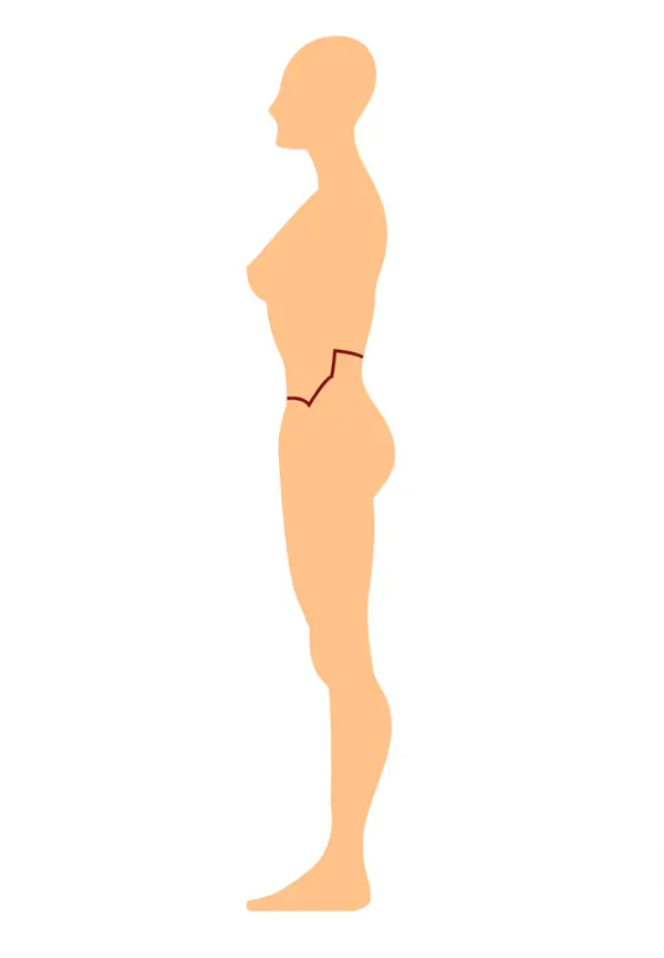 Girdle Vessel pathway diagram