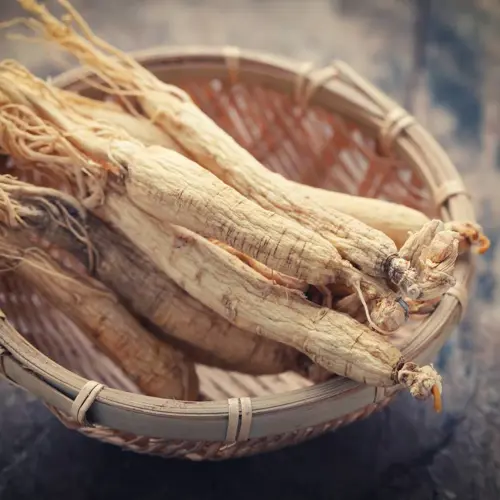 Ren Shen (Ginseng root) as TCM ingredient