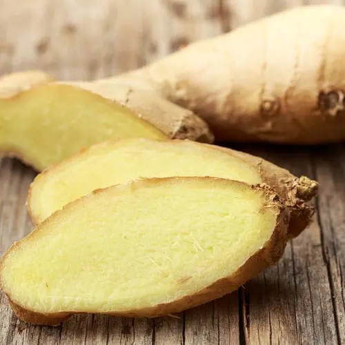 Sheng Jiang (Fresh ginger rhizome) plant