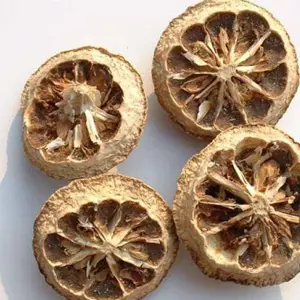 Zhi Ke